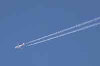 OE-LVK